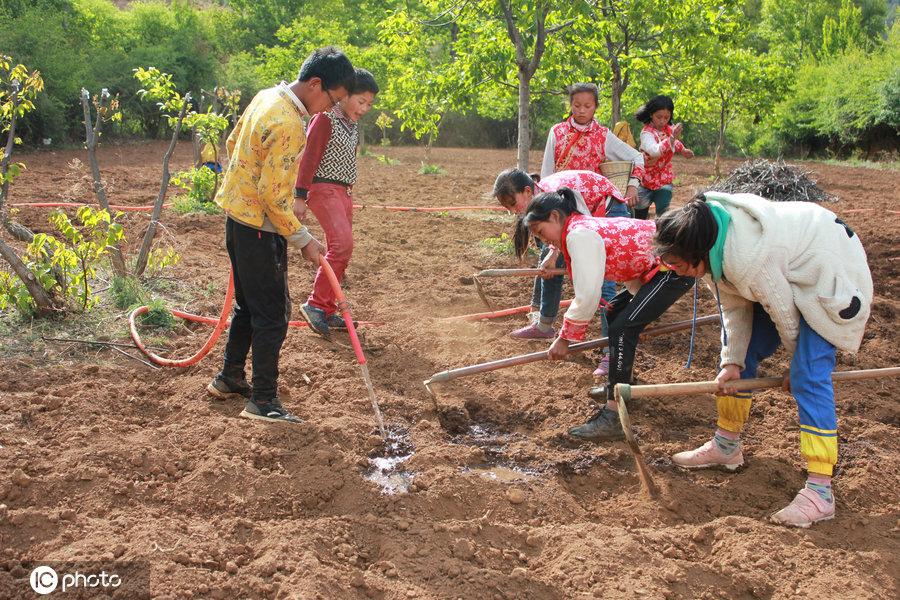 揭秘龙兔两生肖相配的奥秘，传统与科学的碰撞