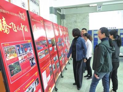 揭秘生肖小家子相，全面解析与文化落实