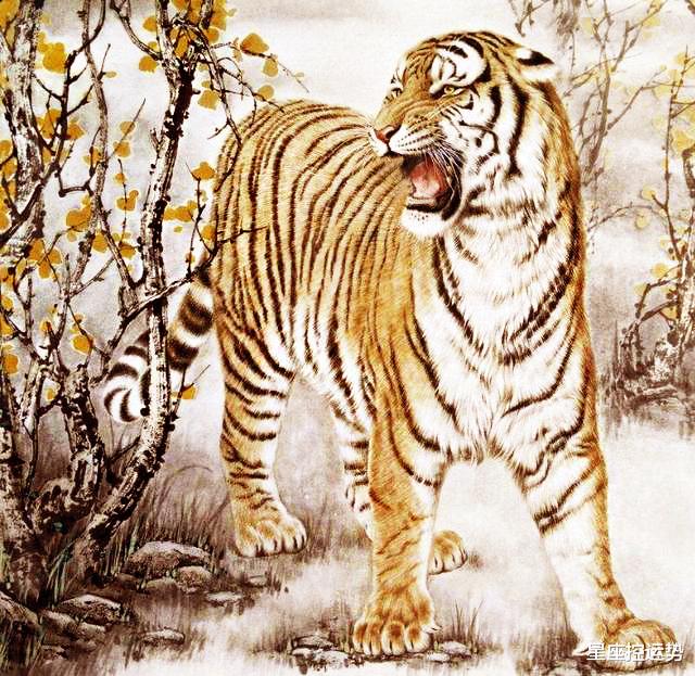 阴阳相生,财源广进,揭秘一阴一阳好发财背后的生肖奥秘 阴阳相生,财源广进,揭秘一阴一阳好发财背后的生肖奥秘