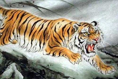 十二生肖本领强打一肖，无限解释落实