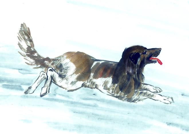 气宇轩昂是什么生肖，实证解释落实