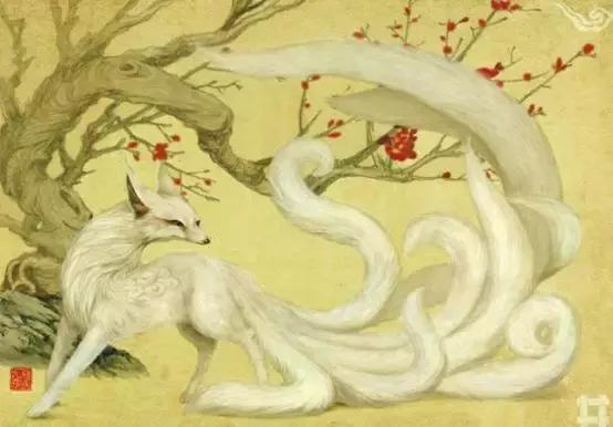 狐指的什么生肖，选择解释落实