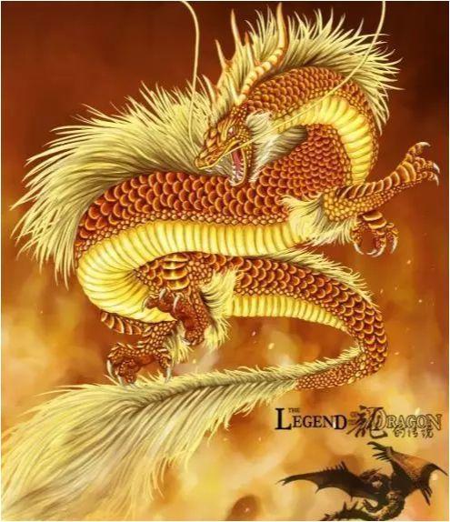 逢凶化吉是什么生肖，喜欢作答落实解释