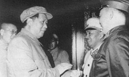 慎言慎行的智慧，探寻生肖中的智者—鼠