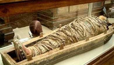 棺材与生肖之谜，人生哲理的深度解析