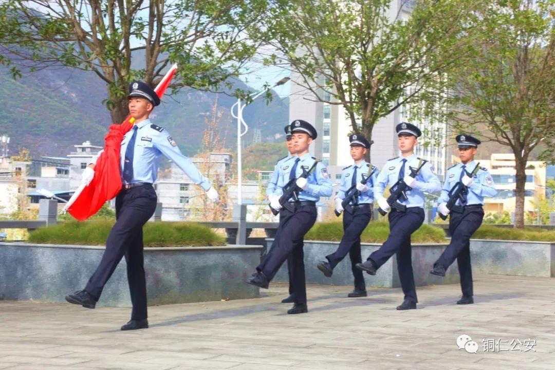 人才济济猜一动物?非凡解释落实