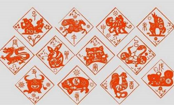 二零零三年属什么生肖，友爱作答落实解释