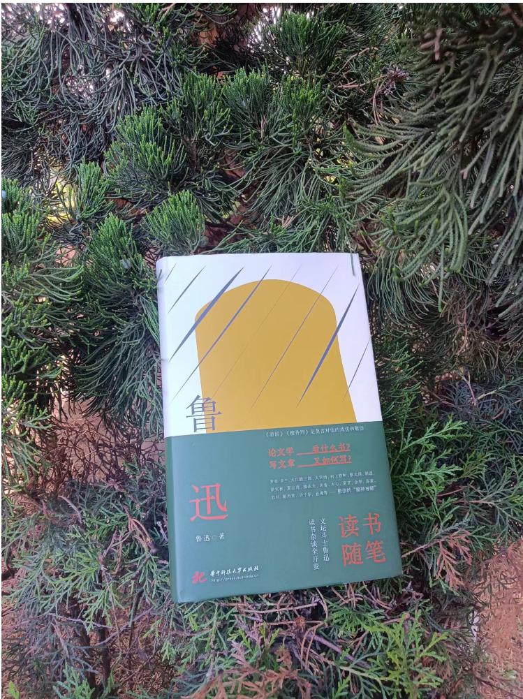 揭秘白里透红背后的生肖玄机,一语中的全面解析 揭秘白里透红背后的生肖玄机,一语中的全面解析