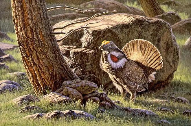 宛然如生,探寻那神秘而栩栩如生的动物—鹤 宛然如生,探寻那神秘而栩栩如生的动物—鹤