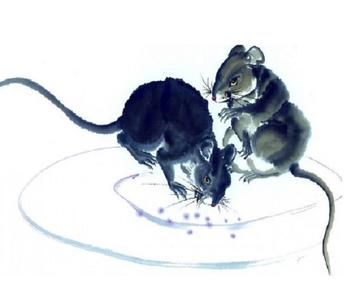 盲人瞎马，揭秘生肖背后的智慧与策略