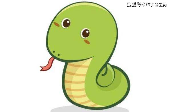 滚瓜溜油猜一生肖，解密与专业分析