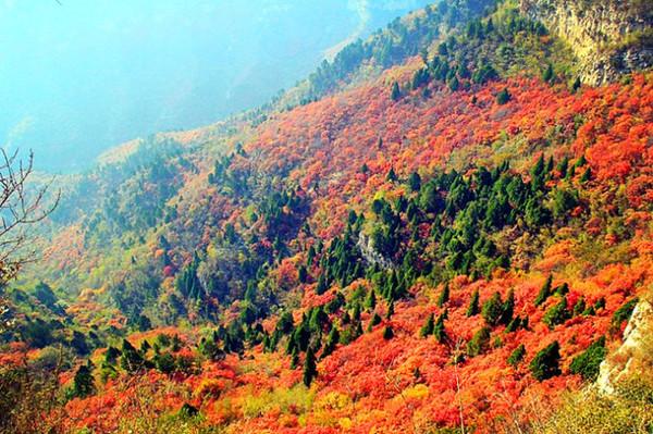 一年四季打一生肖，谁来落实解答？