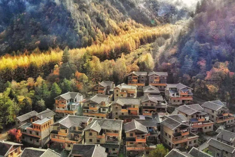 错落有致，揭秘生肖谜题的巧妙解答