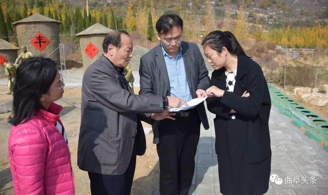 生肖虎的职场优势与最佳职业选择，最新解析与策略落实