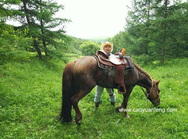 英姿飒爽猜一动物，能人解释与现代生活的落实