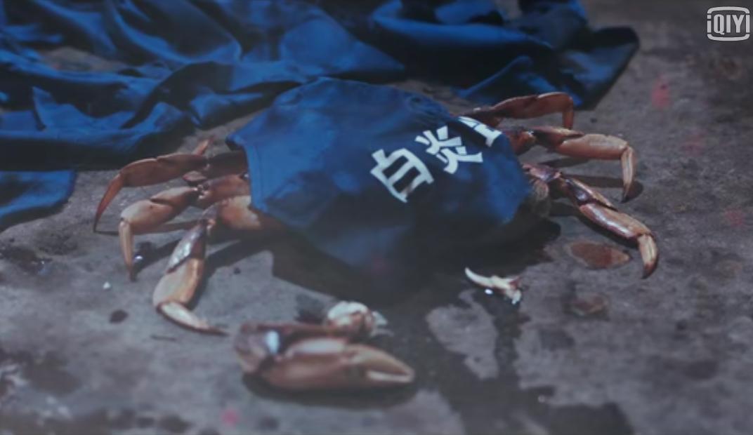 声东击西猜一动物?非凡解释落实