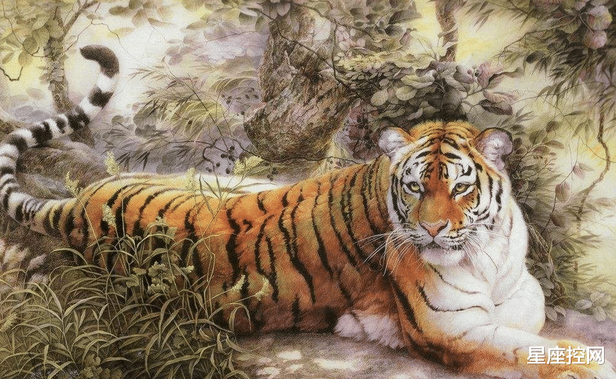 秀丽宜人猜一生肖，经典解释作答落实