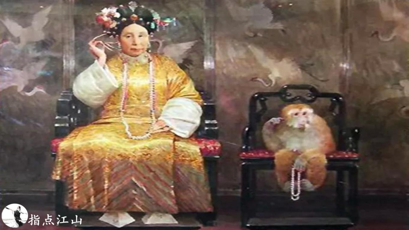 太后与生肖的神秘联系，探寻历史与文化的深层寓意