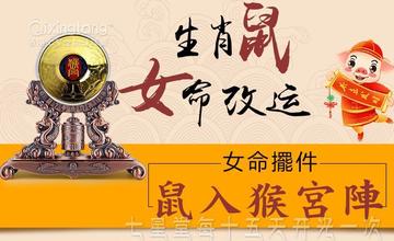 家庭妇女的生肖智慧，以鼠年为例的温馨解读