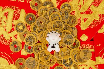 风雨一生桥与路,生肖之谜的深刻寓意 风雨一生桥与路,生肖之谜的深刻寓意