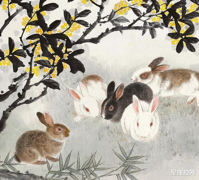 百毒不侵的生肖,探寻属相中的特殊魅力 百毒不侵的生肖,探寻属相中的特殊魅力