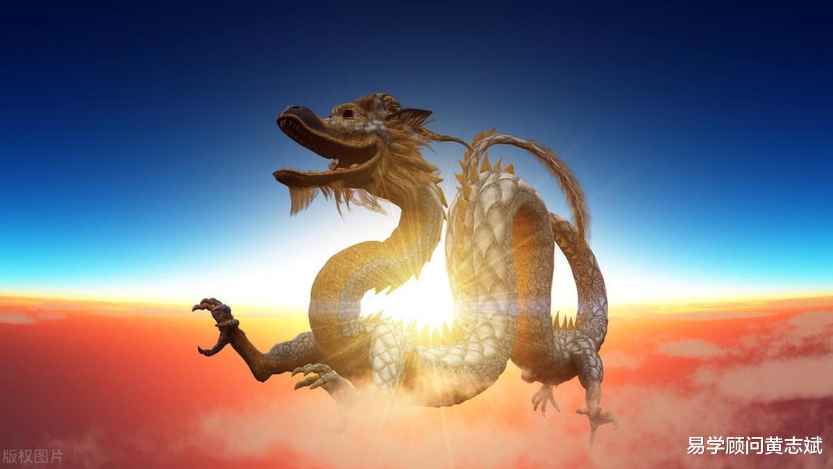 揭秘长命动物背后的生肖寓意，生肖龙的永恒之谜