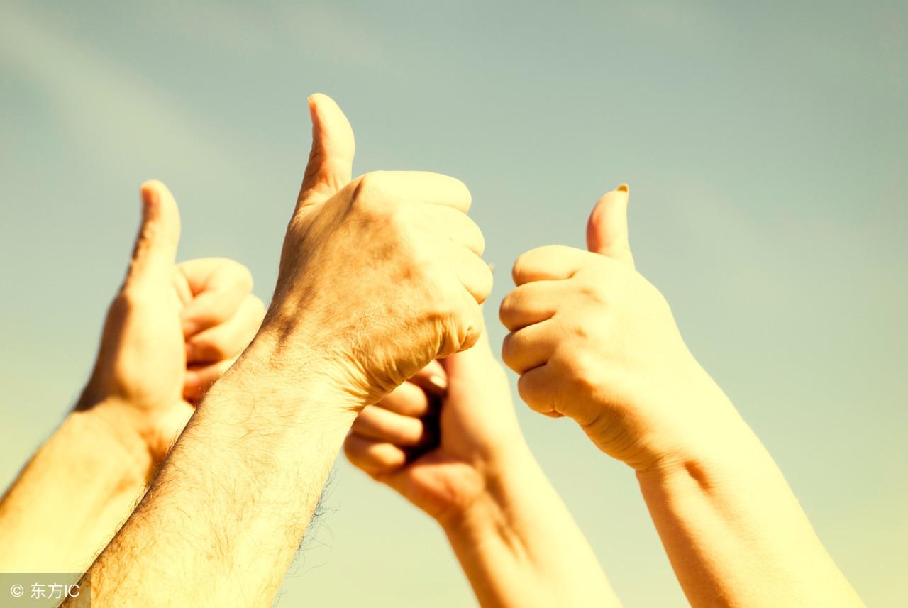 劳碌命的生肖，采民作答落实解释