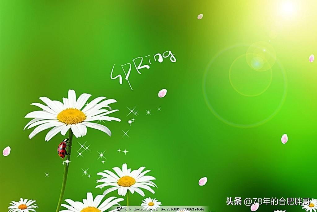 搓手跺脚，揭示生肖背后的网络文化与习俗