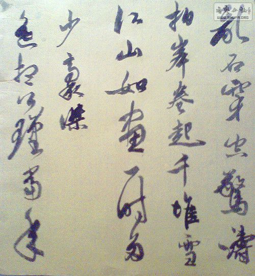 大江东去,生肖迷思的误导与反思 大江东去,生肖迷思的误导与反思