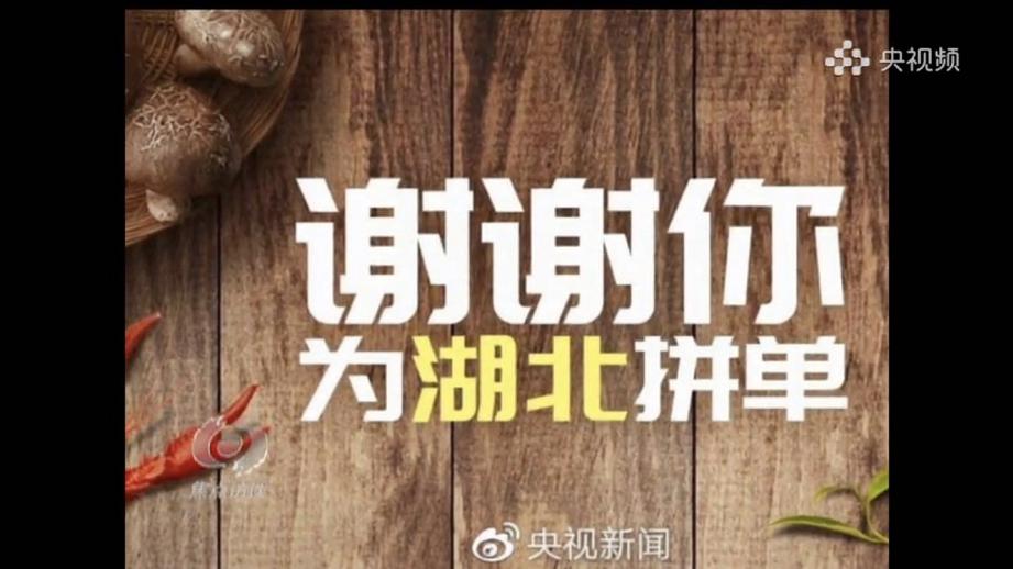 揭秘前方凶险背后的生肖智慧，如何选择并落实正确的生肖指引