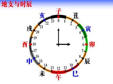 甲乙生肖之谜，探寻传统文化的智慧与趣味