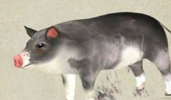 力挽狂澜是什么生肖，正确解释与落实