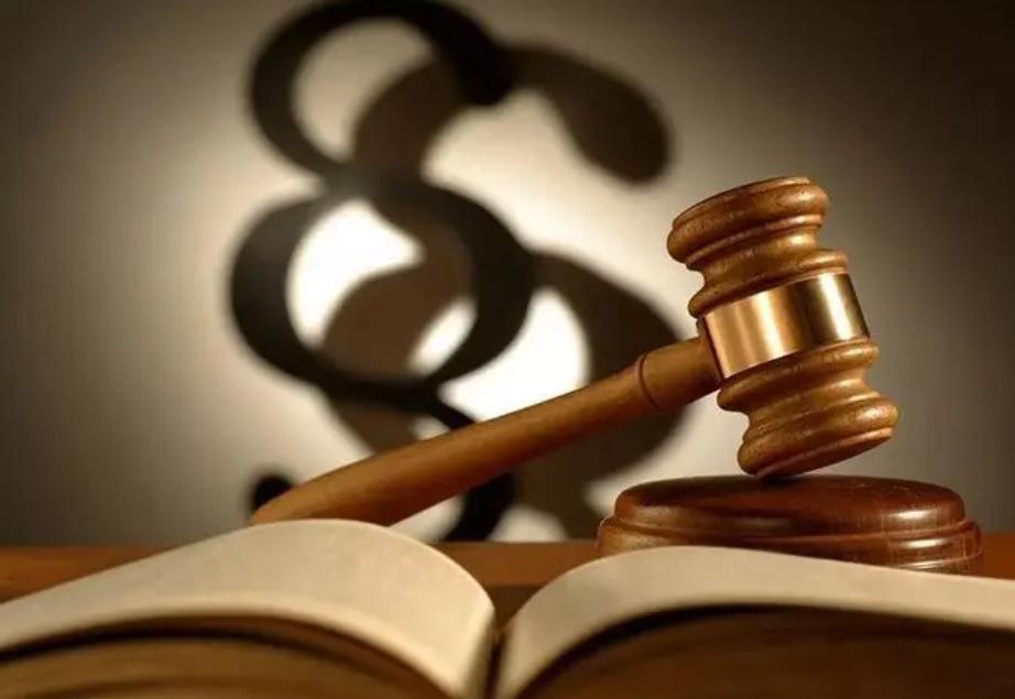 比翼双飞的生肖是什么，正确解释与落实