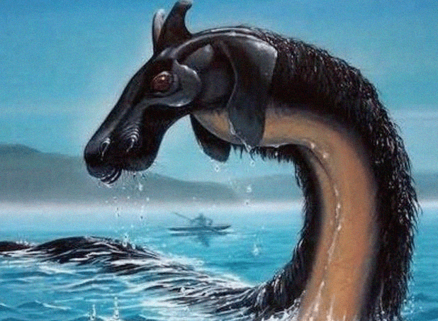 揭秘说长道短的神秘动物，从传统谜语到新型作答的深度解析