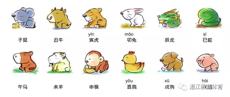 反败为胜，生肖动物中的智慧与坚韧—以兔为例