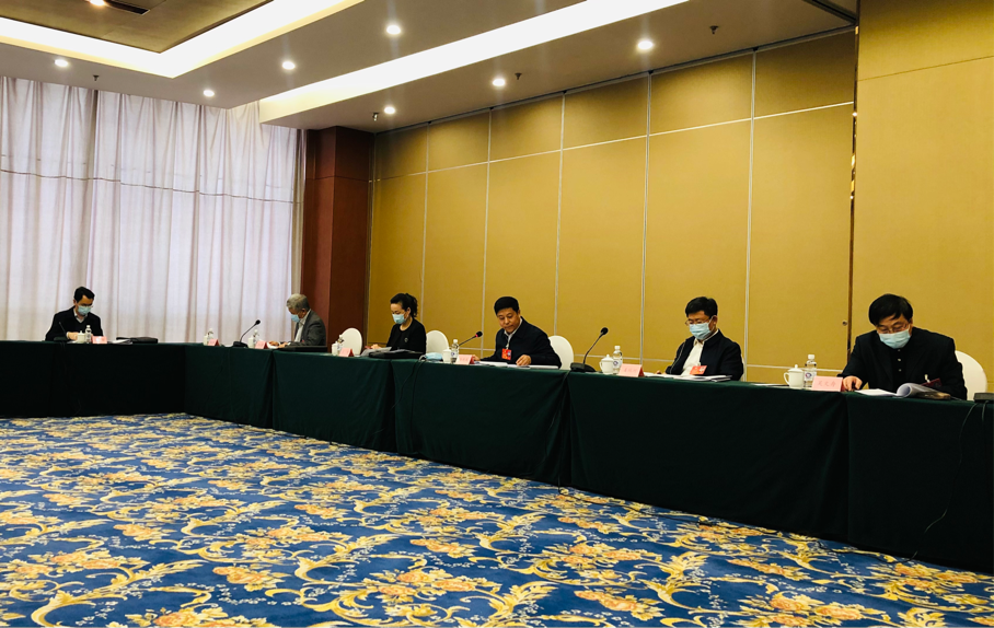 年幼无知猜一动物，热议作答落实解释