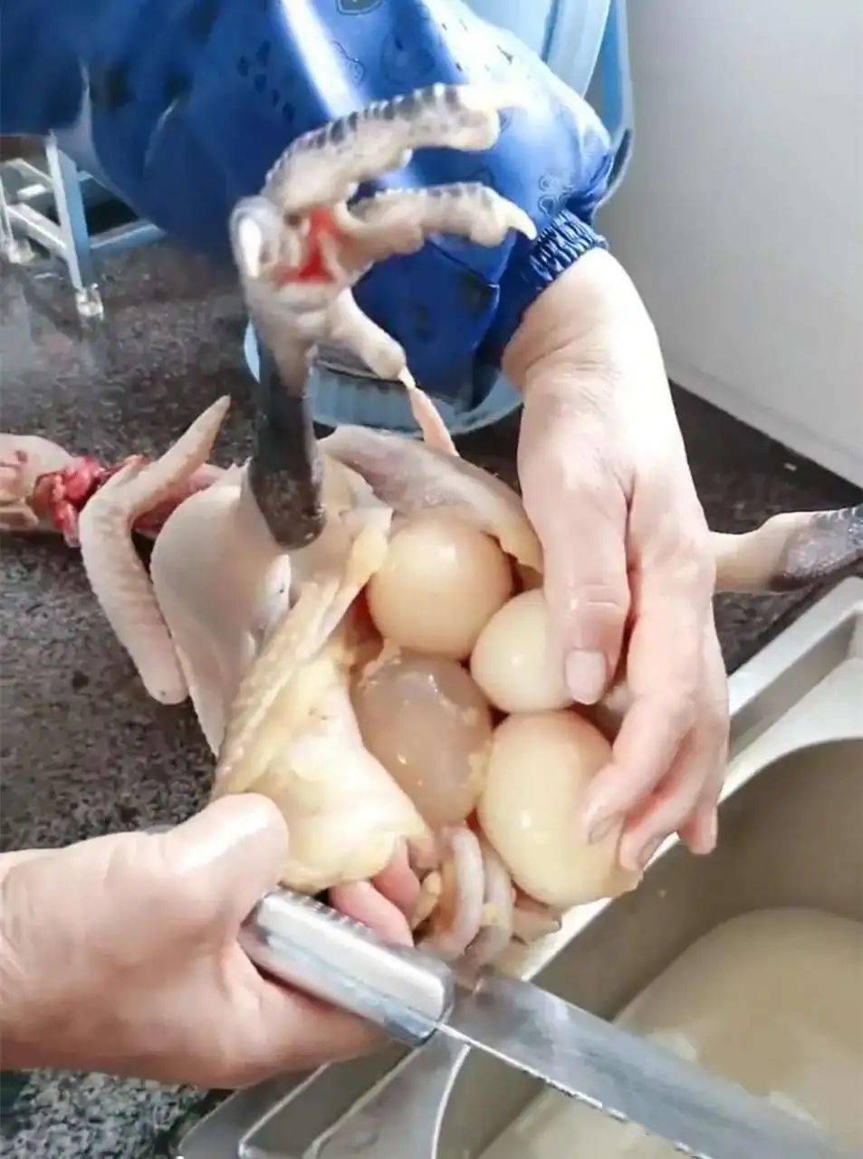 杀鸡取卵,生肖寓言与和谐共舞的智慧 杀鸡取卵,生肖寓言与和谐共舞的智慧