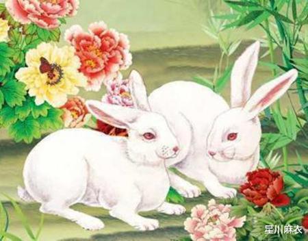 受人尊敬的生肖，和谐共舞的智慧与力量