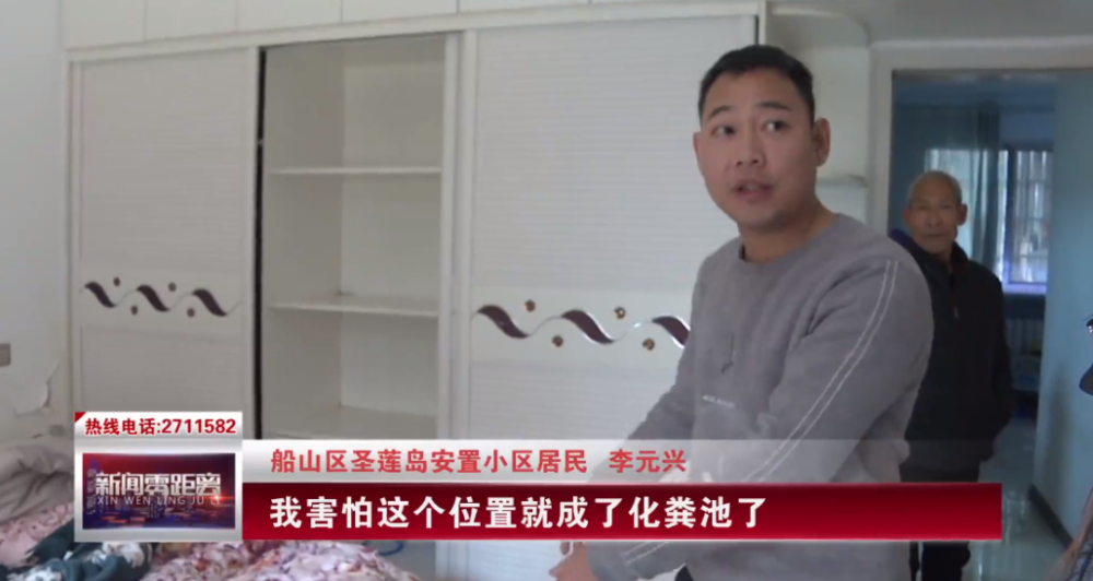 四海涌涛涛打一生肖，的动物智慧与战略运用