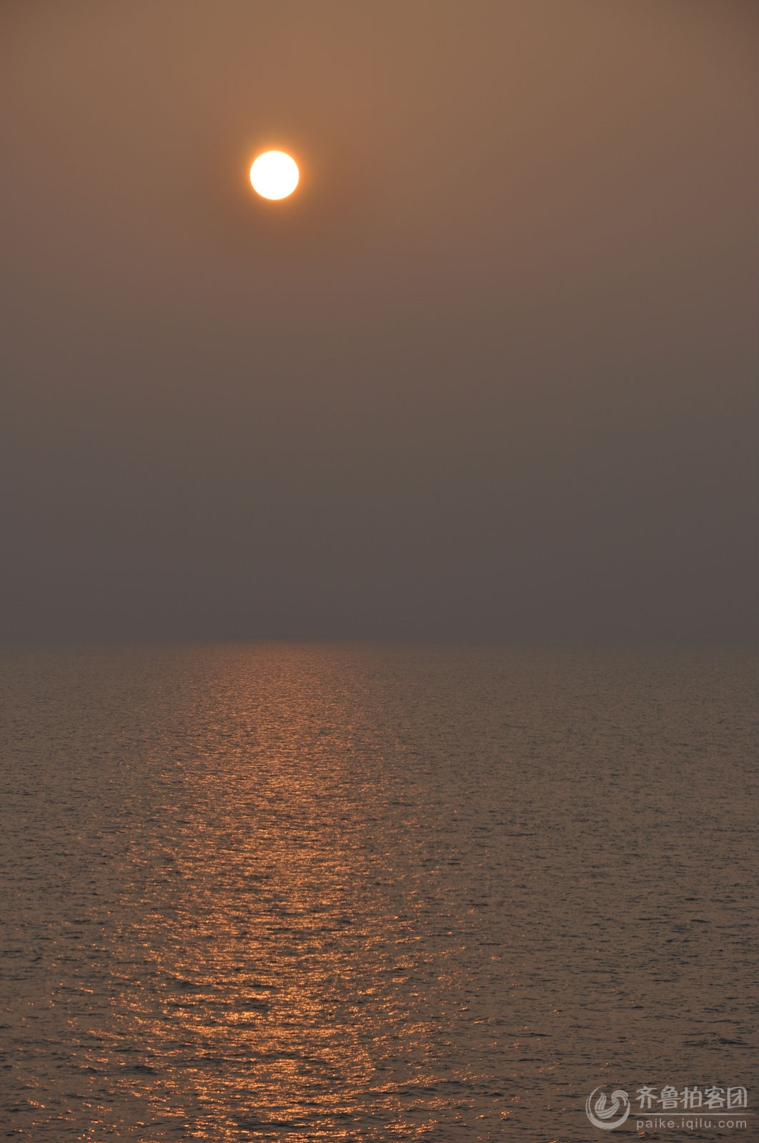浮云游子日落西，生肖之谜的深层解读与人生启示