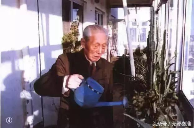 水土不服的生肖，之谜与人生哲理的深度解析