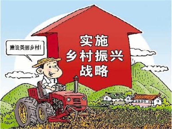 生肖虎的职场优势与最佳职业选择，最新解析与策略落实