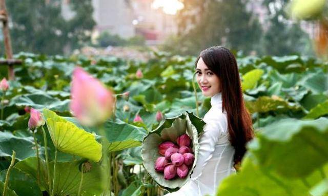 春色破晓明是指什么生肖，落实相信的解释