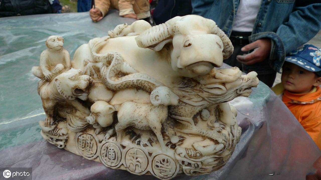 田字代表的生肖，深度解析与文化寓意