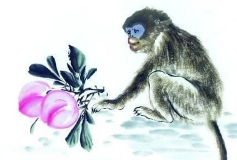 傻子打一生肖，的精准解答与落实精神