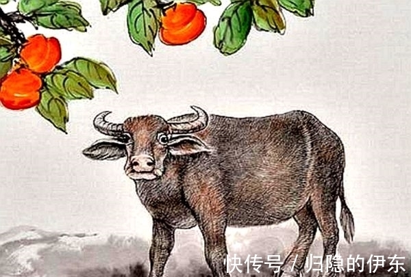 不思进取的生肖是什么，精选解析与落实的详细结果