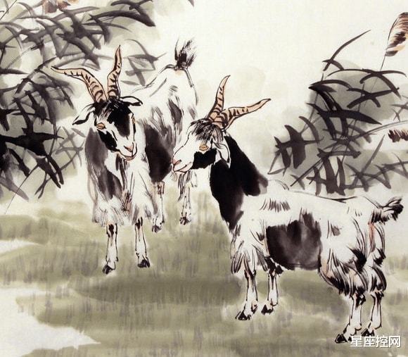 标新立异与理想作答，探索生肖中的独特魅力