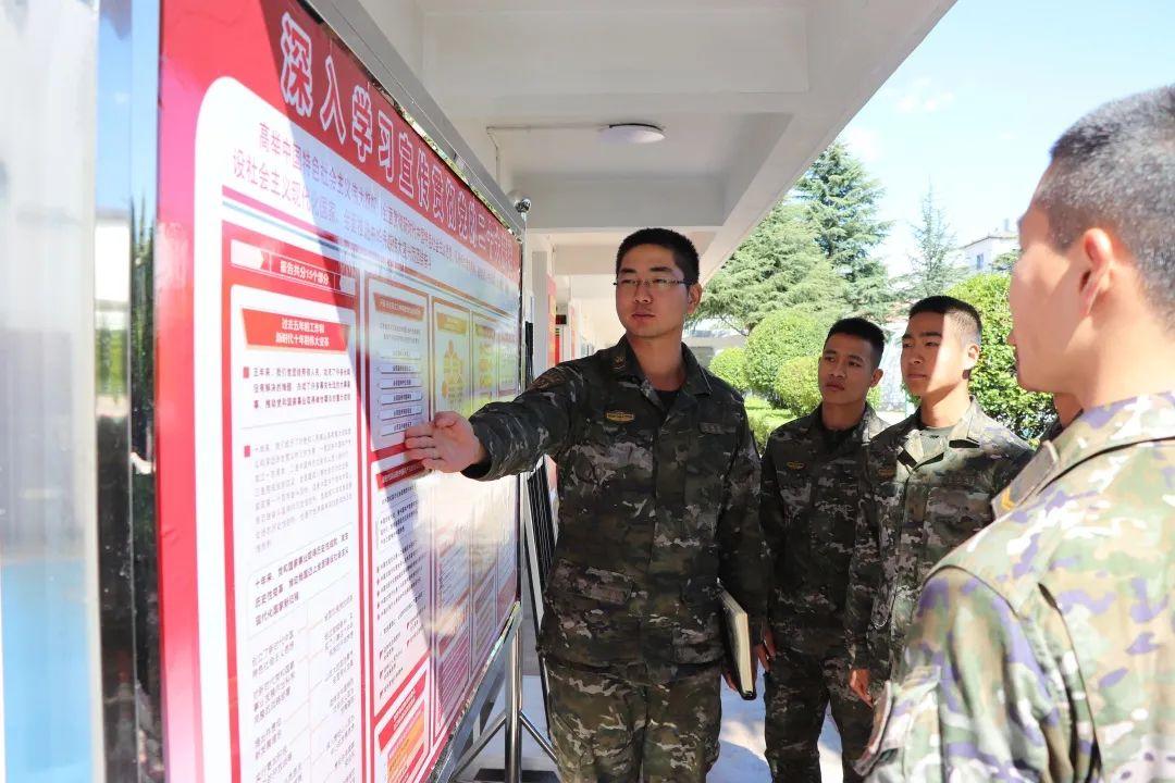 十二生肖财运排行，发现作答落实解释