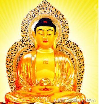 午时属什么生肖，喜欢作答落实解释