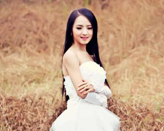 十二生肖夫人是什么,背后的智慧与哲理 十二生肖夫人是什么,背后的智慧与哲理